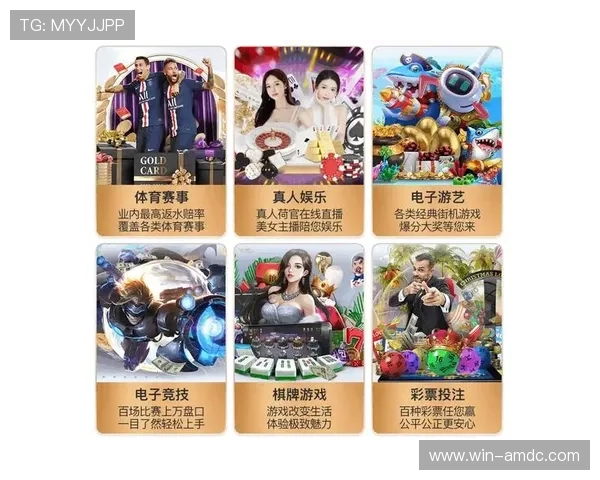 多样化真人电子游戏平台app满足不同玩家的个性化娱乐需求